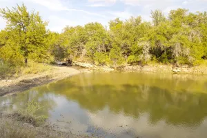 Gordon, TX 76453