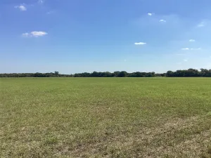 Dawson, TX 76639