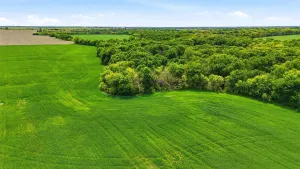 Whitesboro, TX 76273