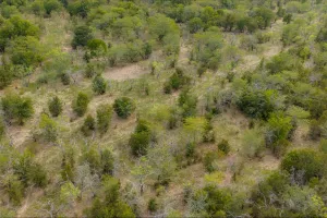 Wills Point, TX 75169