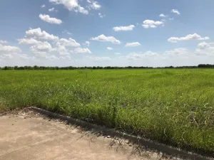 Hillsboro, TX 76645