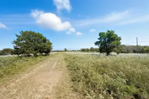 Lone Oak, TX 75453