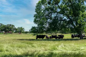 Flower Mound, TX 75022