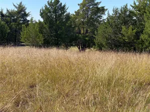 Cedar Hill, TX 75104