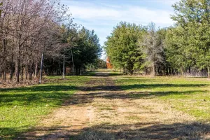 Stephenville, TX 76401