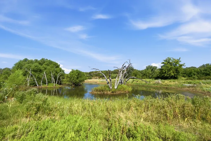 Graham, TX 76450