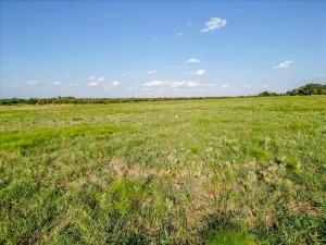 Carbon, TX 76435