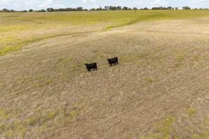 Godley, TX 76044