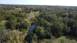 Carlton, TX 76436