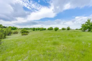 Weatherford, TX 76085