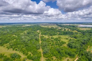 Savoy, TX 76479