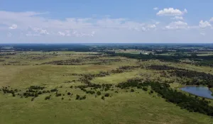 Southmayd, TX 76268