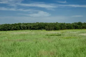 Henrietta, TX 76230