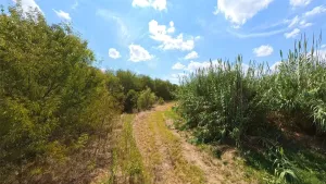 Itasca, TX 76055