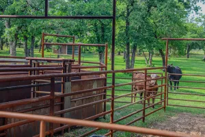 Lipan, TX 76462
