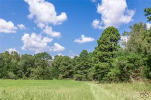 Winnsboro, TX 75494