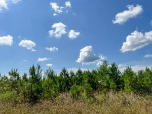 Cleveland, TX 77327