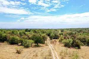 Perrin, TX 76486