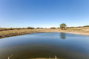 Kemp, TX 75143