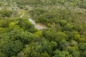 Wills Point, TX 75169