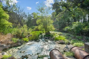 Dublin, TX 76446