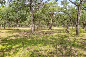 Bowie, TX 76230