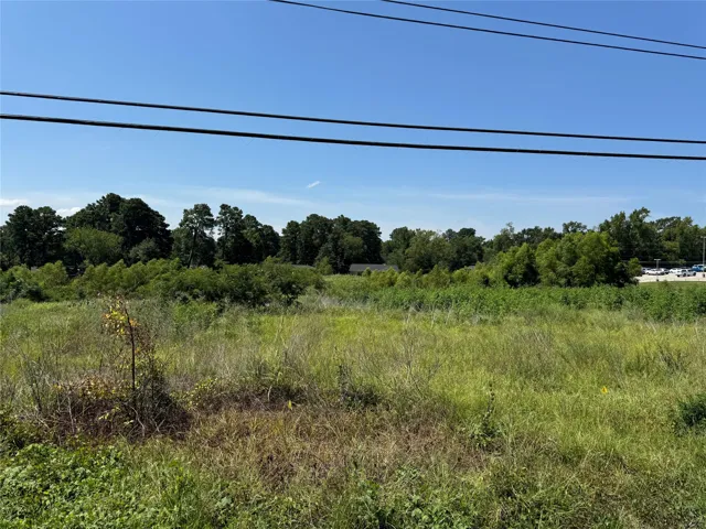 Palestine, TX 75801