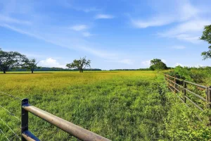 Denison, TX 75021
