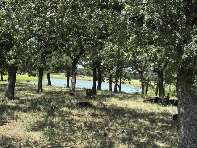 Lipan, TX 76462