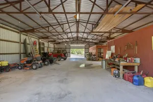 Forestburg, TX 76239