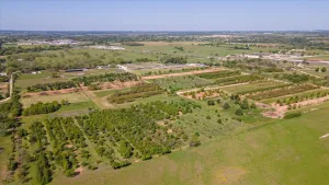 Stephenville, TX 76401