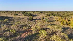 Gorman, TX 76454