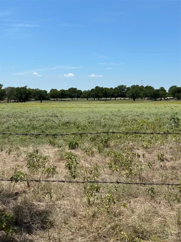 Tioga, TX 76271