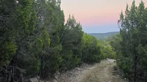 Abilene, TX 79602
