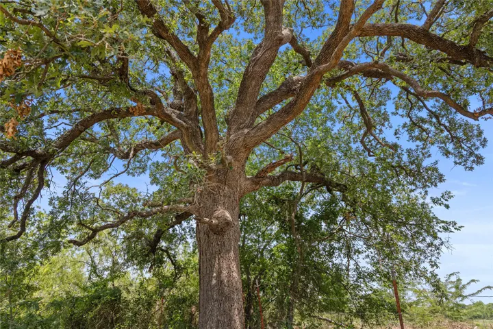 Kemp, TX 75143
