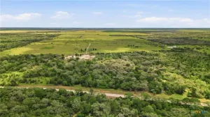 Hallettsville, TX 77964