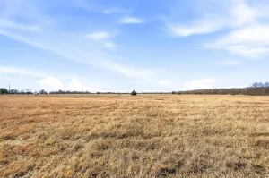 Josephine, TX 75189