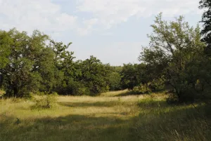 Comanche, TX 76442