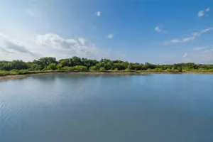 Argyle, TX 76226