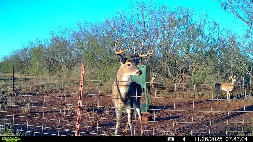 Mullin, TX 76864