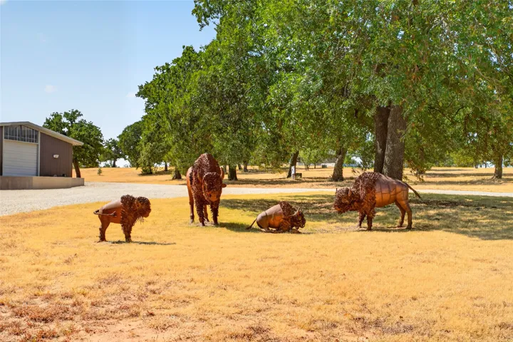 Nocona, TX 76255