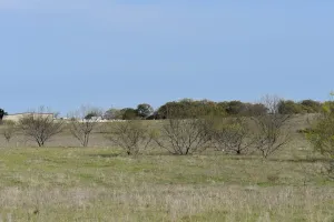 Decatur, TX 76234