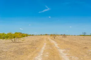 Cresson, TX 76035