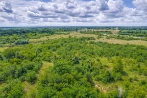 Savoy, TX 76479