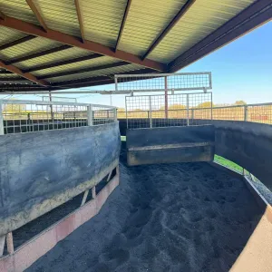Pilot Point, TX 76258