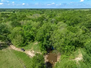 Edgewood, TX 75117