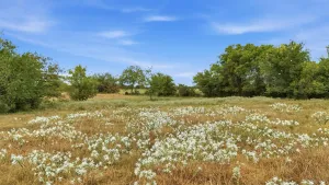 Collinsville, TX 76233