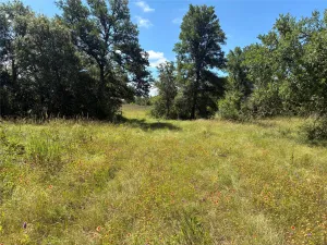 Evant, TX 76525