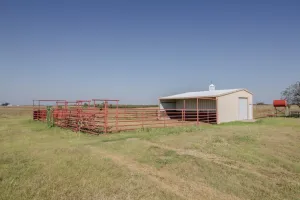 Pilot Point, TX 76258