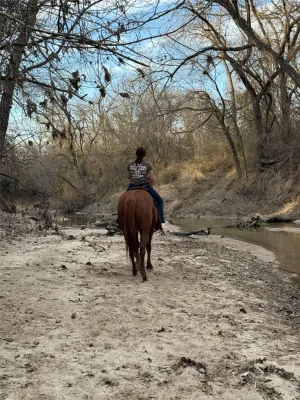 Justin, TX 76247